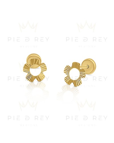 Earrings in Gold