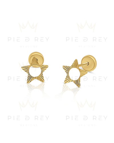 Earrings in Gold