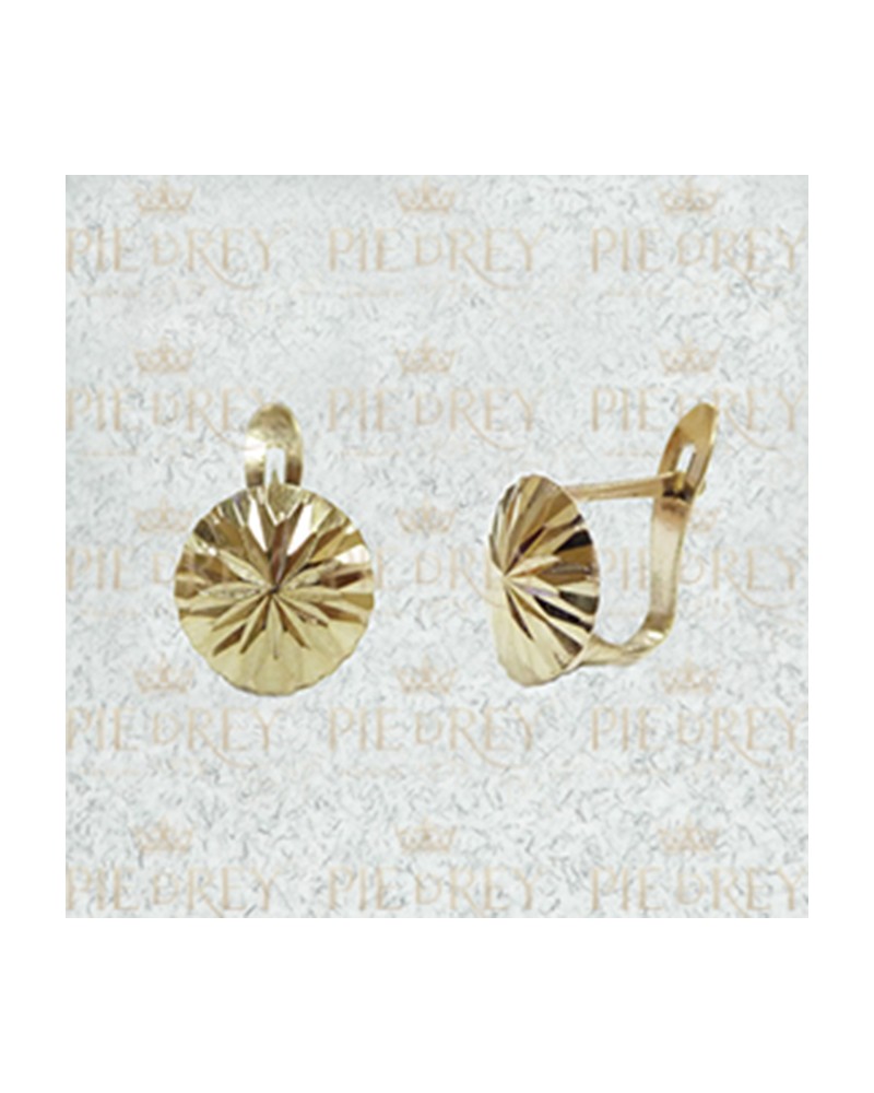 Earrings in Gold