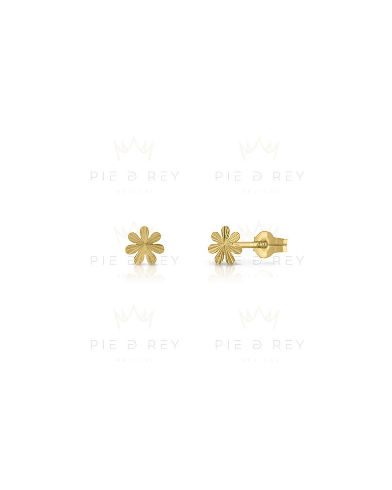 Earrings in Gold