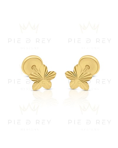 Pendientes en Oro