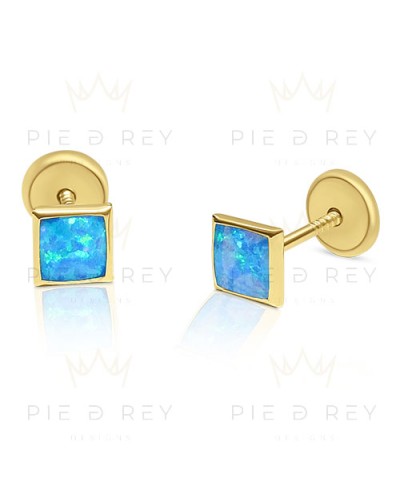 Earrings in Gold