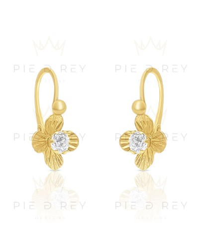 Earrings in Gold