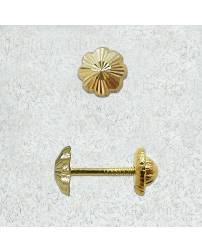 Earrings in Gold