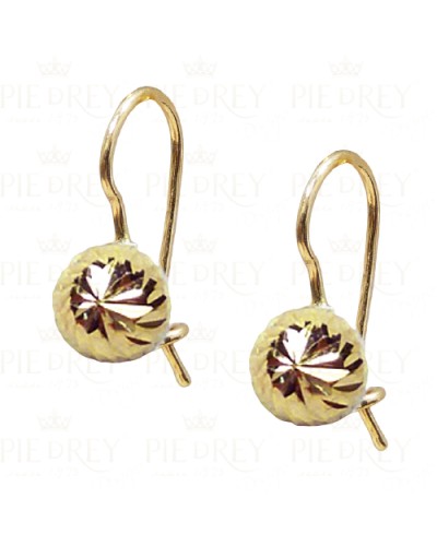 Earrings in Gold